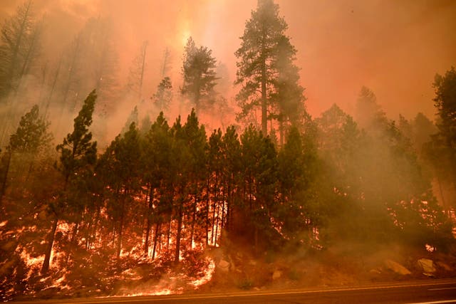 <p>The Caldor Fire burns on both sides of Highway 50 about 10 miles east of Kyburz, California, on 26 August 2021</p>
