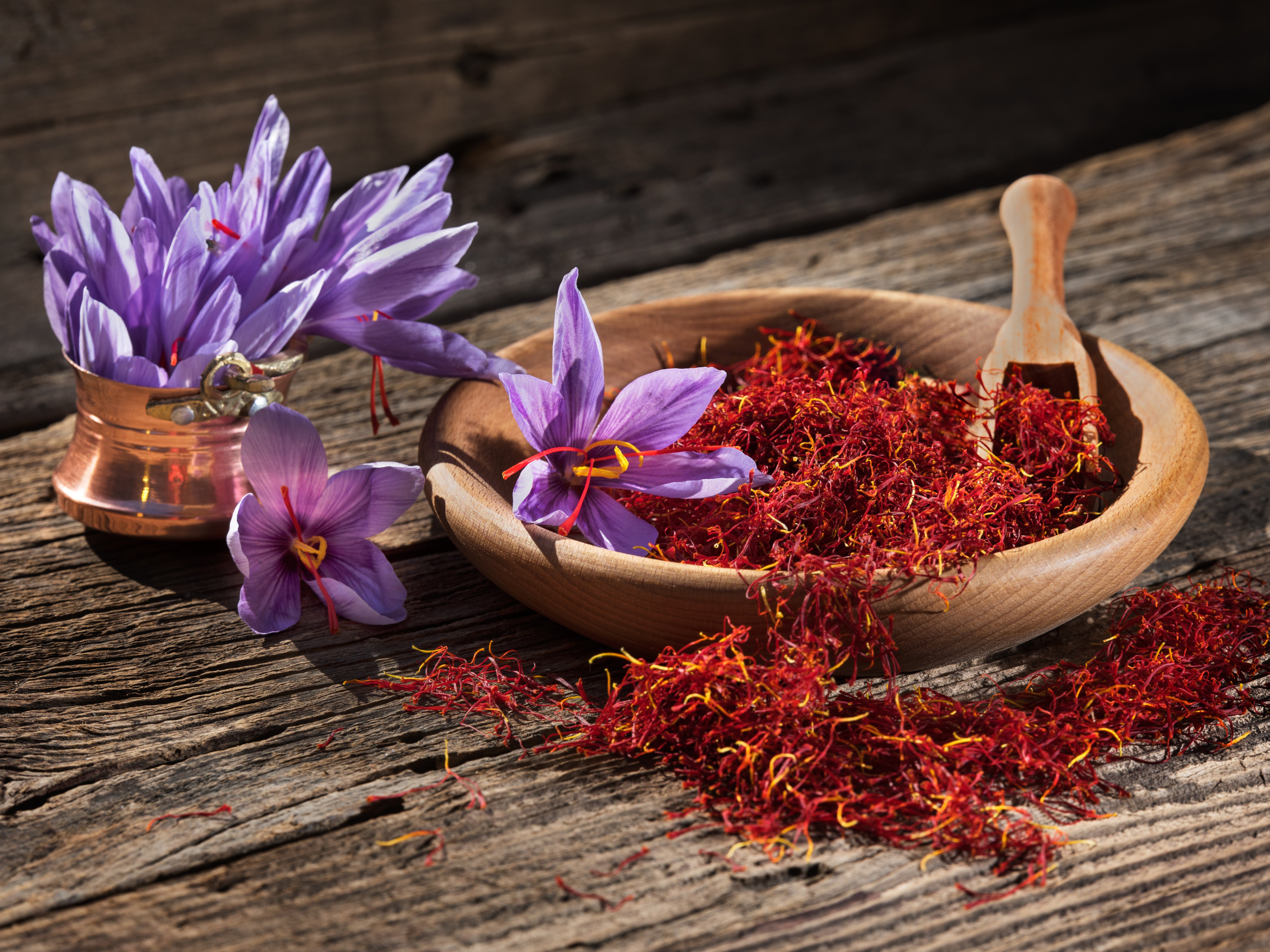 Harvesting saffron from the crocus sativus plant is extremely laborious, hence its high cost