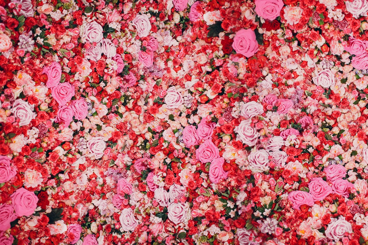 DIY flower walls are trending on TikTok – here's how to create one yourself  | The Independent