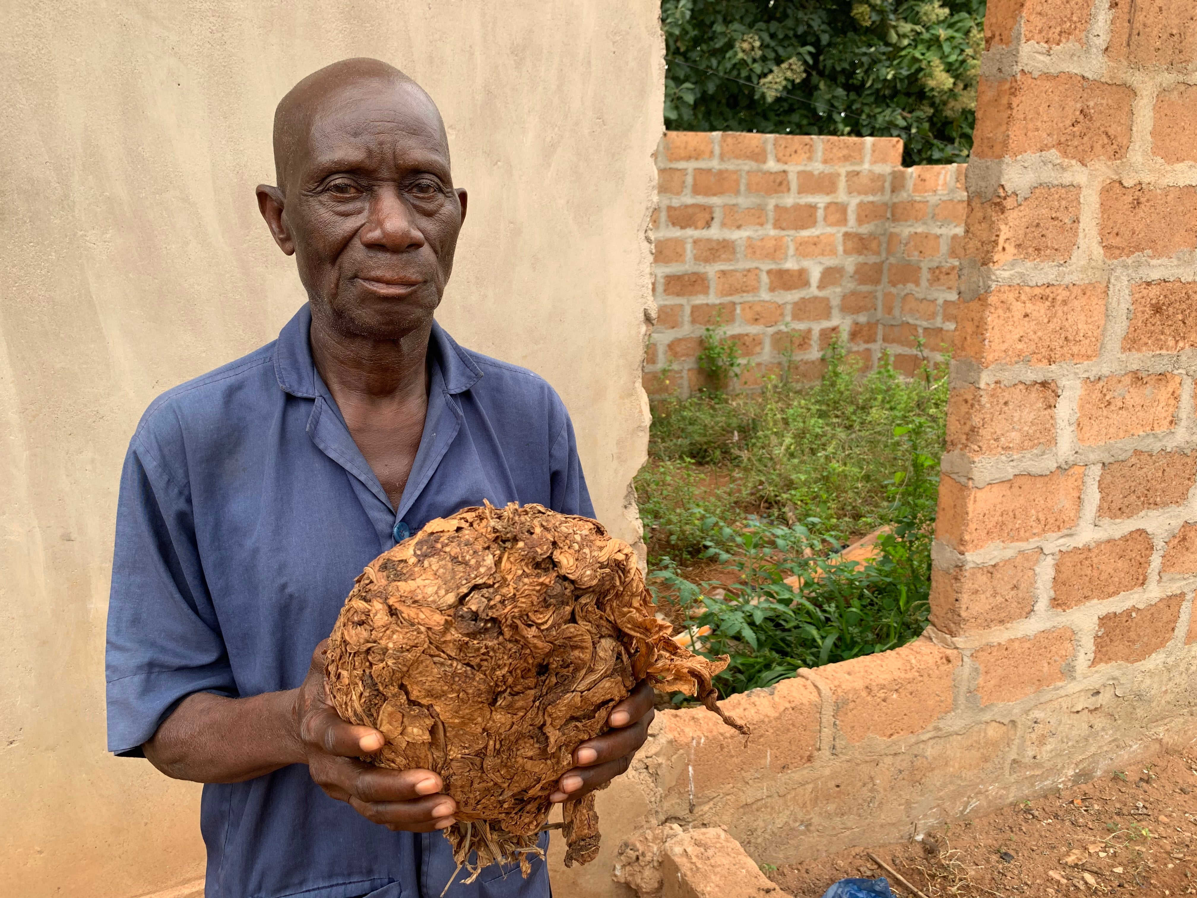 Dah Djika Dégbo, 73, with the tobacco crop first brought to his village by his Amazon step-grandmother, Yaketou