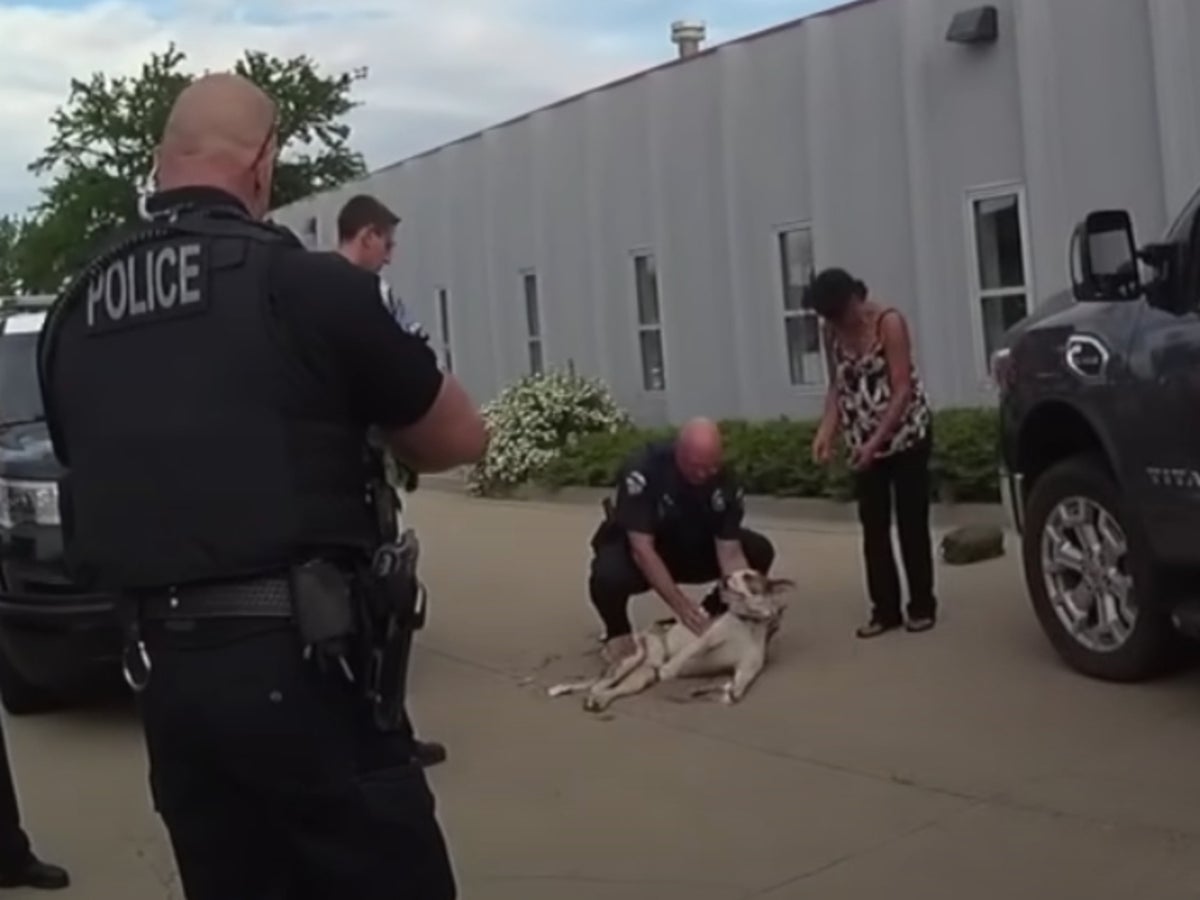Police Officer Sued After Shooting Puppy Dead In Front Of Its Owners The Independent