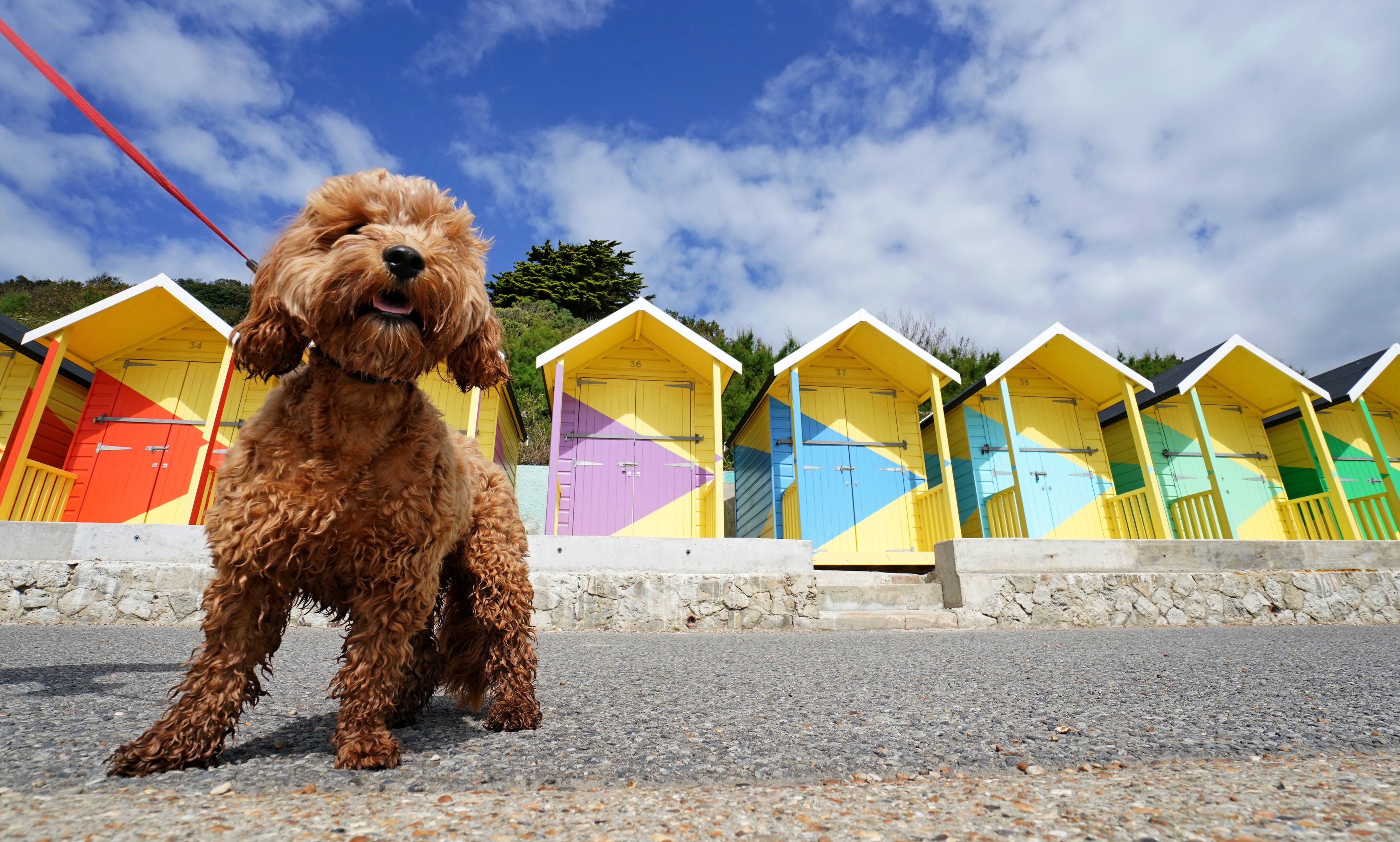The newly refurbished beach huts in Folkestone, Kent