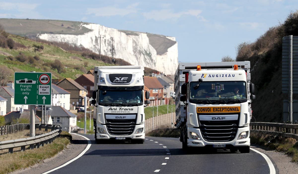 ‘Insane’ policy preventing foreign lorry drivers from easing crisis, says Brexit-backing Next boss