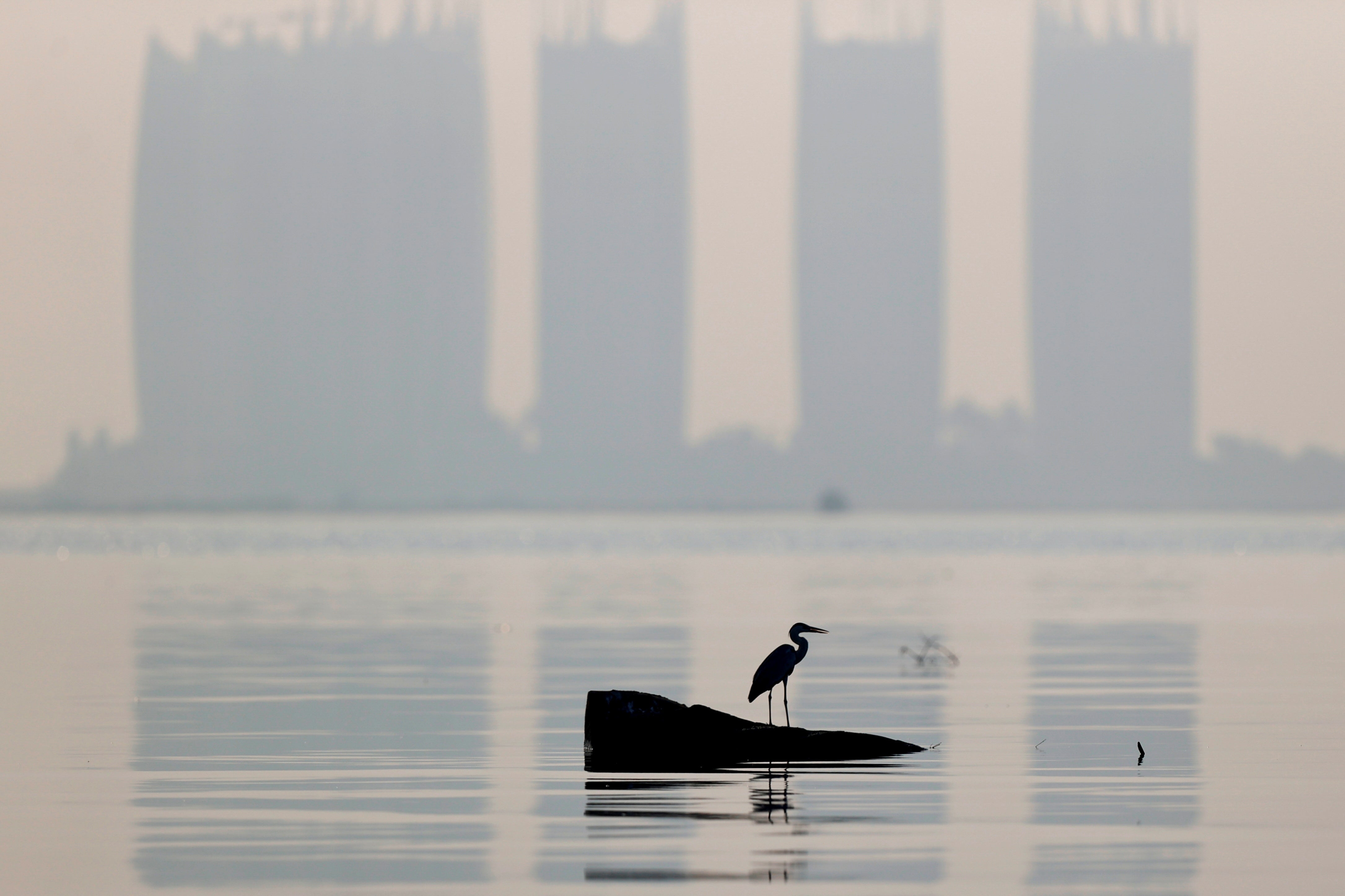File: A heron bird perches as smog covers high-rise buildings on the northern coast of Jakarta, Indonesia