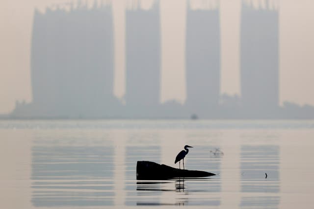 <p>File: A heron bird perches as smog covers high-rise buildings on the northern coast of Jakarta, Indonesia</p>