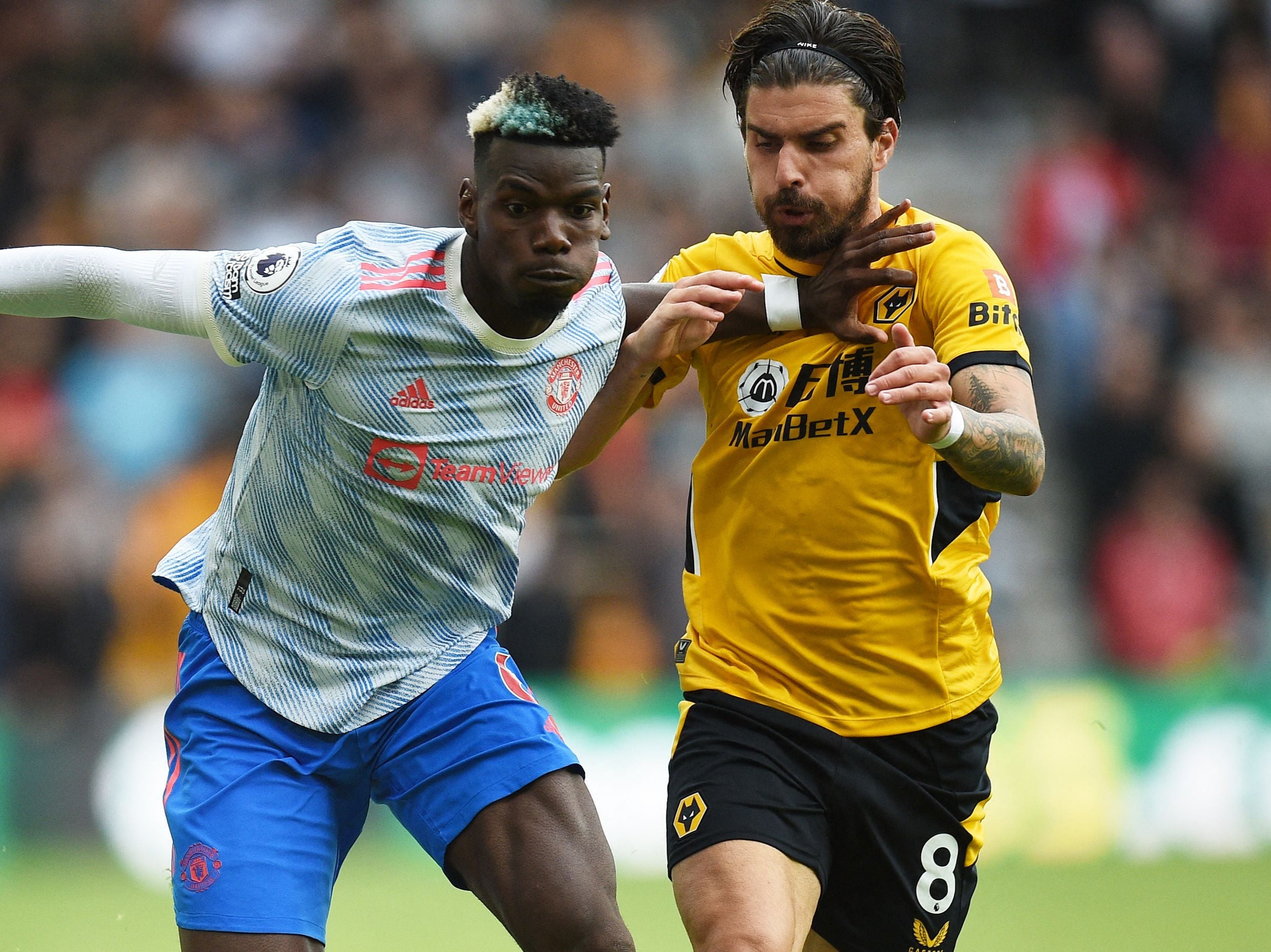 <p>Paul Pogba and Ruben Neves were involved in the incident shortly before the game’s only goal  </p>
