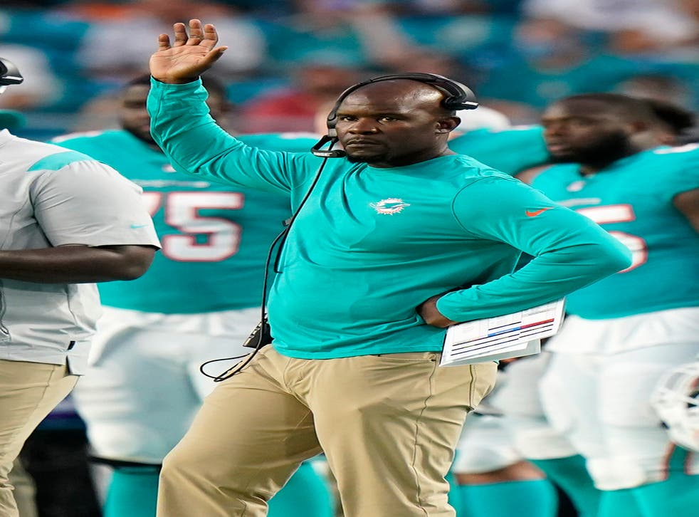 DOLPHINS-FLORES