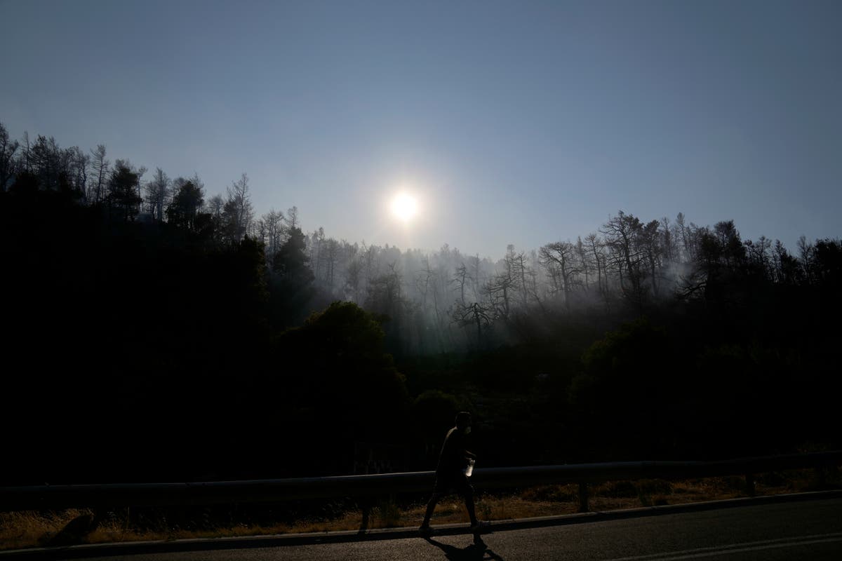 After massive fires, Greece struggles to shake up security 