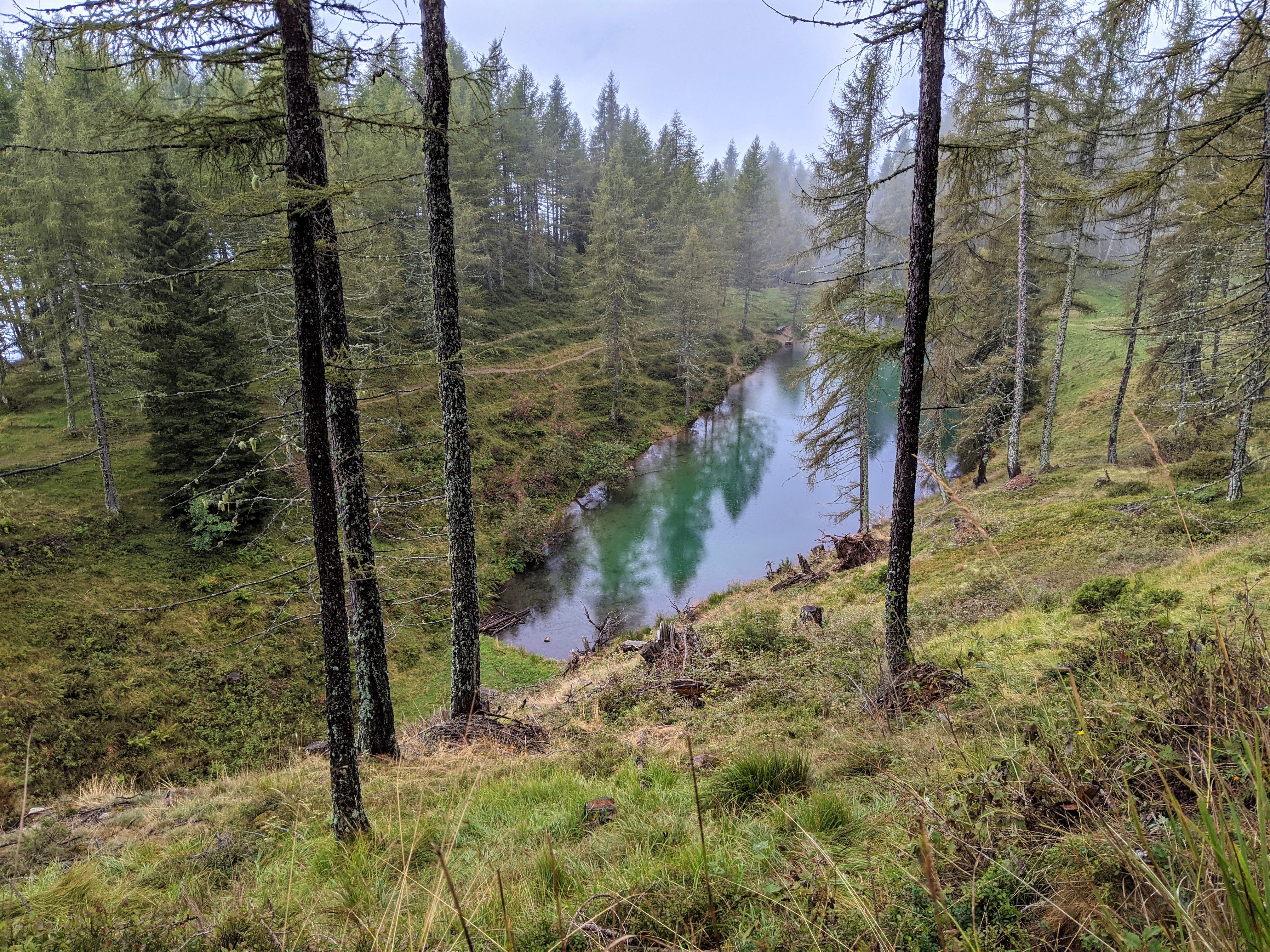 Lake and woodland in Italy’s Trentino region