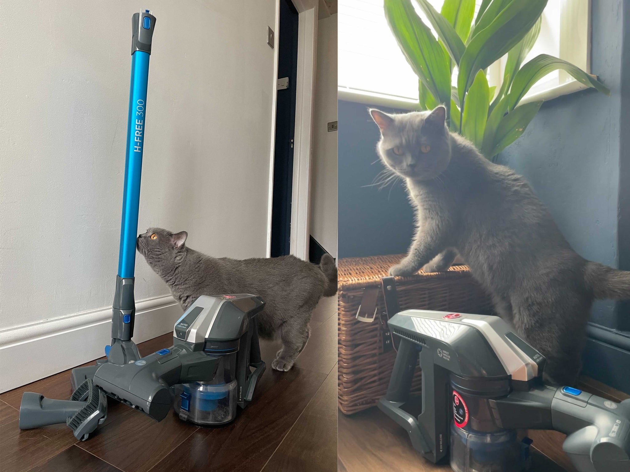 Hoover H-Free 300 pets cordless vacuum: We review the brand's  budget-friendly model | The Independent