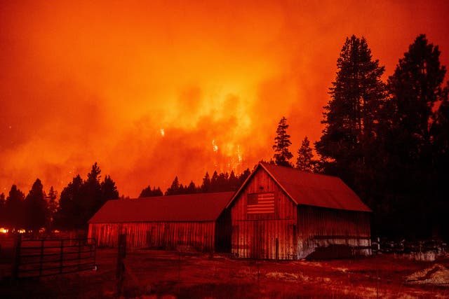 <p> Flames consume multiple homes as the Caldor fire pushes into the Echo Summit area, California on August 30, 2021. </p>