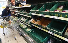 Food price rises ‘likely’ amid Brexit red tape and driver shortages, warn economists