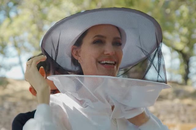 <p>Angelina Jolie raises awareness of importance of beekeeping</p>