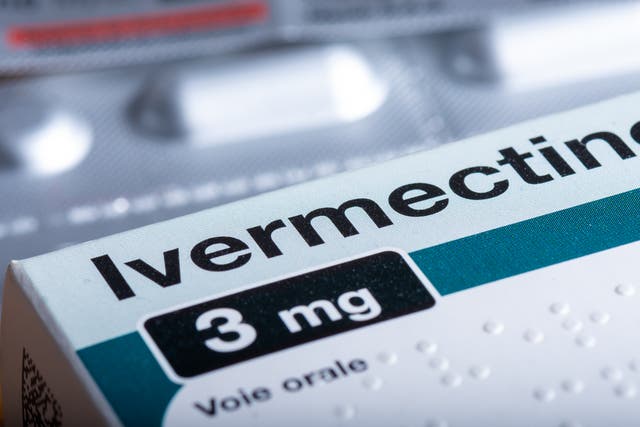 <p>Ivermectin is an anti-parasitic drug often used to de-worm livestock </p>