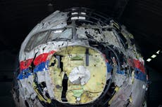 MH17 investigations team appeals to Russians for information