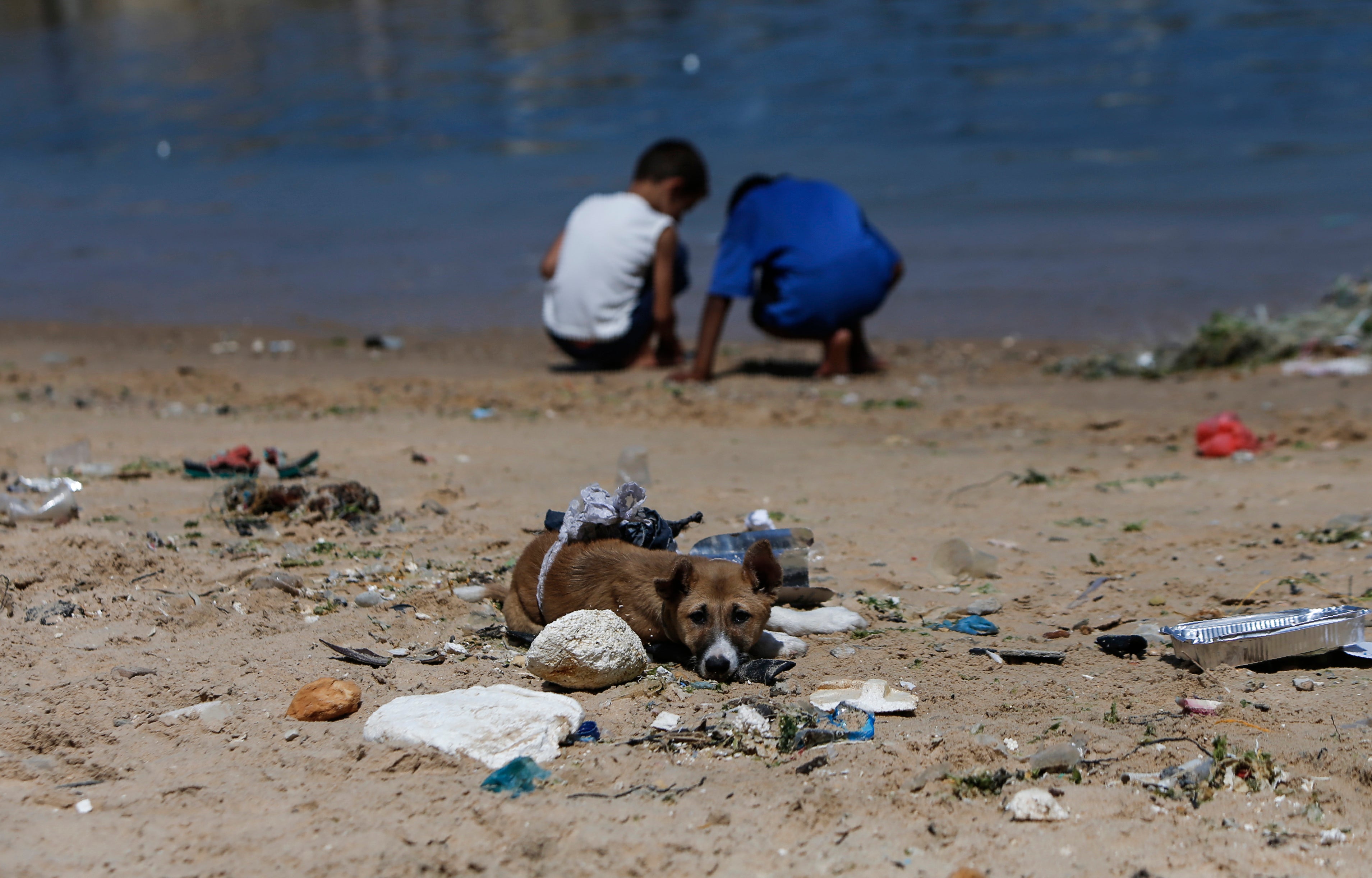 Some of the beaches reopened after Gaza city’s municipality announced it had stopped disposing of untreated wastewater into the sea