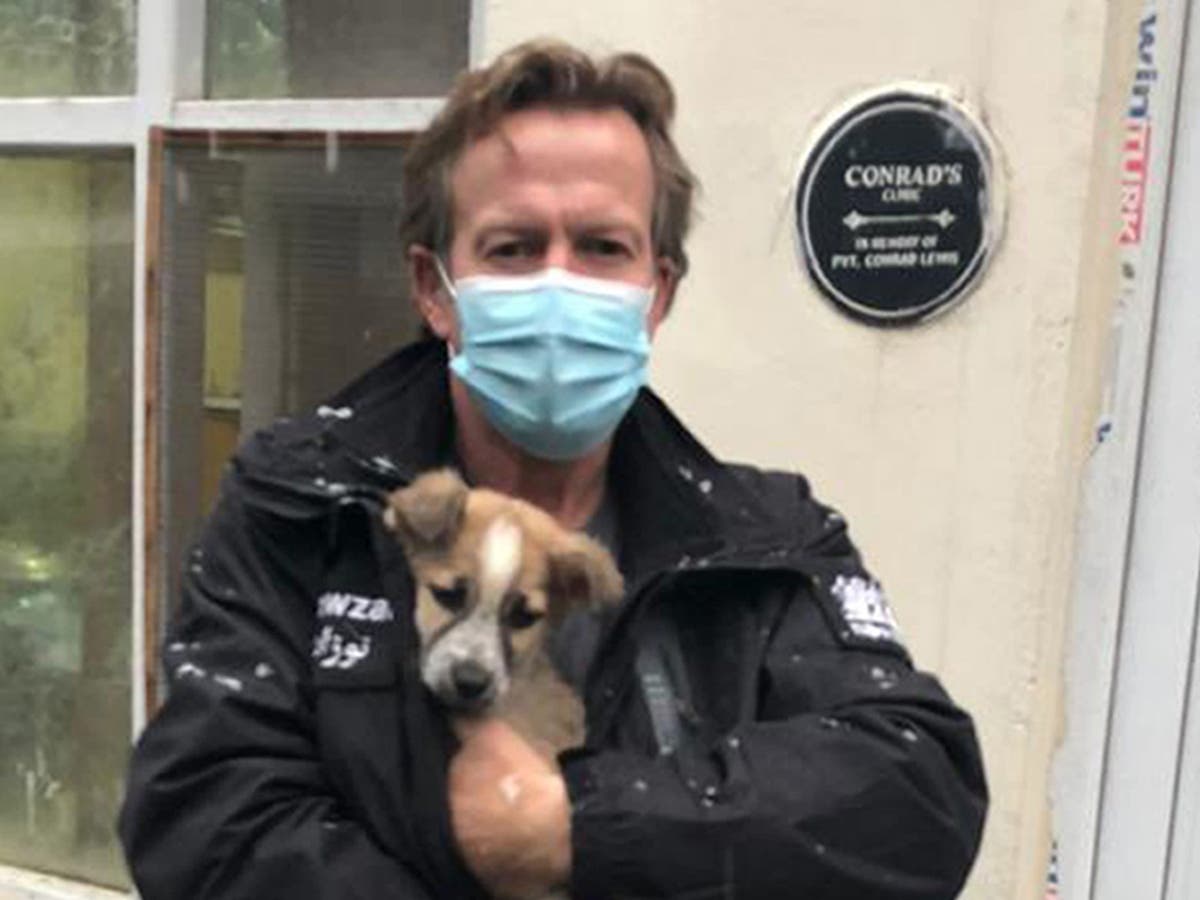 Letter suggests Boris Johnson&rsquo;s involvement in Nowzad evacuation despite No 10 denials