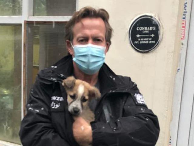 <p>Paul “Pen” Farthing evacuated the animals from his Nowzad shelter in Kabul  </p>