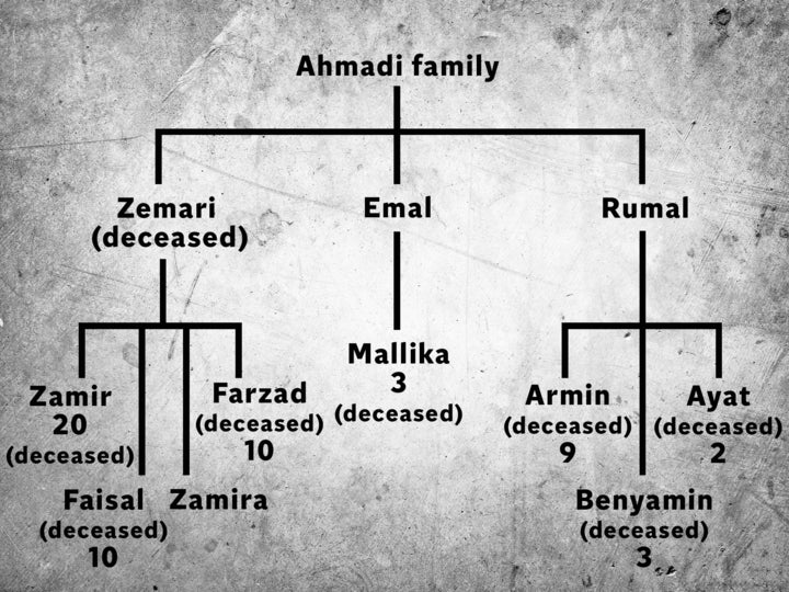 The Ahmadis