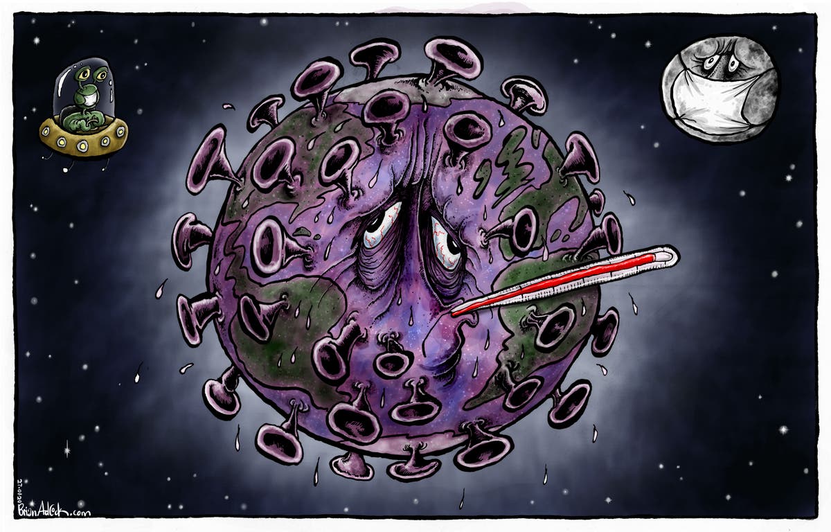 Buy prints of The Independent’s best cartoons from 2020