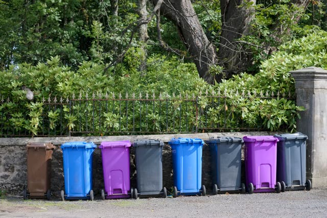 <p>Get in the bins: We really need, dare I say it, is a more intelligent, flexible green policy</p>
