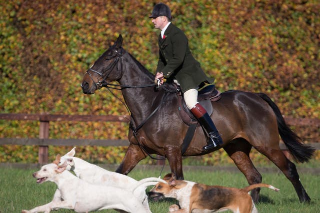 <p>‘Trail-hunting’ is a cover for foxhunting, according to opponents </p>