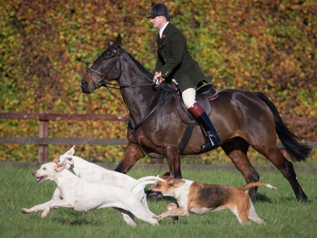 <p>‘Trail-hunting’ is a cover for foxhunting, according to opponents </p>