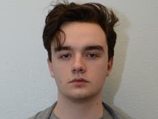 Teenage neo-Nazi convicted of planning UK terror attacks