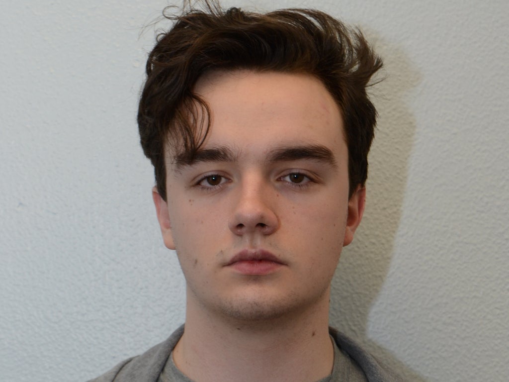 Teenage neo-Nazi jailed for planning terror attacks in Britain