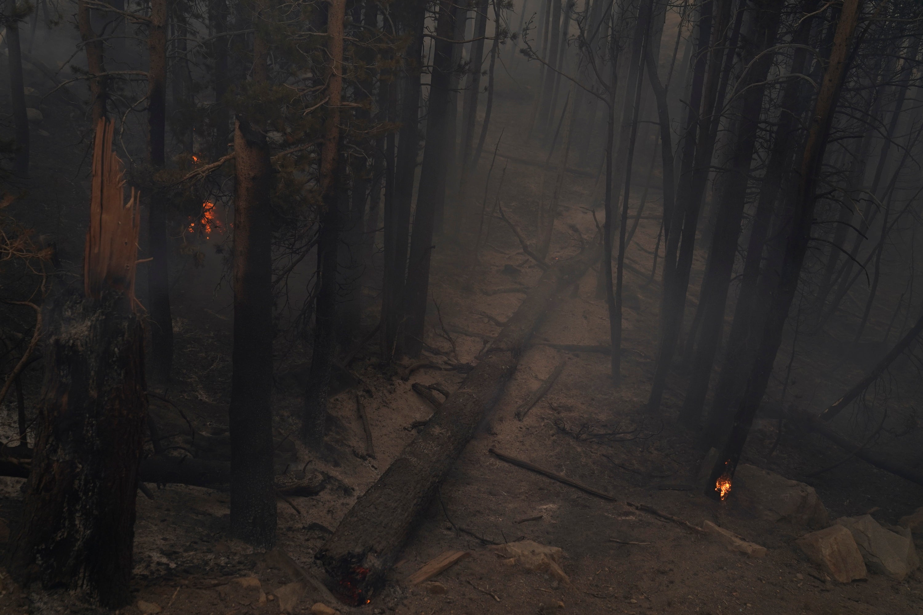 Western Wildfires