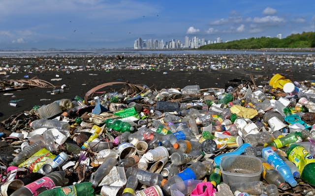 <p>File: Garbage, including plastic waste, is seen at the beach of Costa del Este, in Panama City</p>