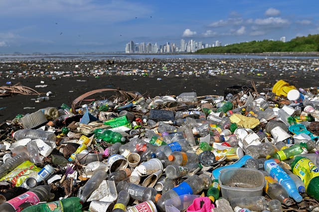 <p>File: Garbage, including plastic waste, is seen at the beach of Costa del Este, in Panama City</p>