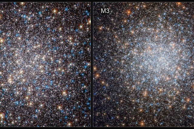 <p>Scientists at the University of Bologna compared white dwarfs in the M3 and M13 star clusters, discovering that some were able to slow their rate of cooling by holding on to an outer layer of hydrogen </p>