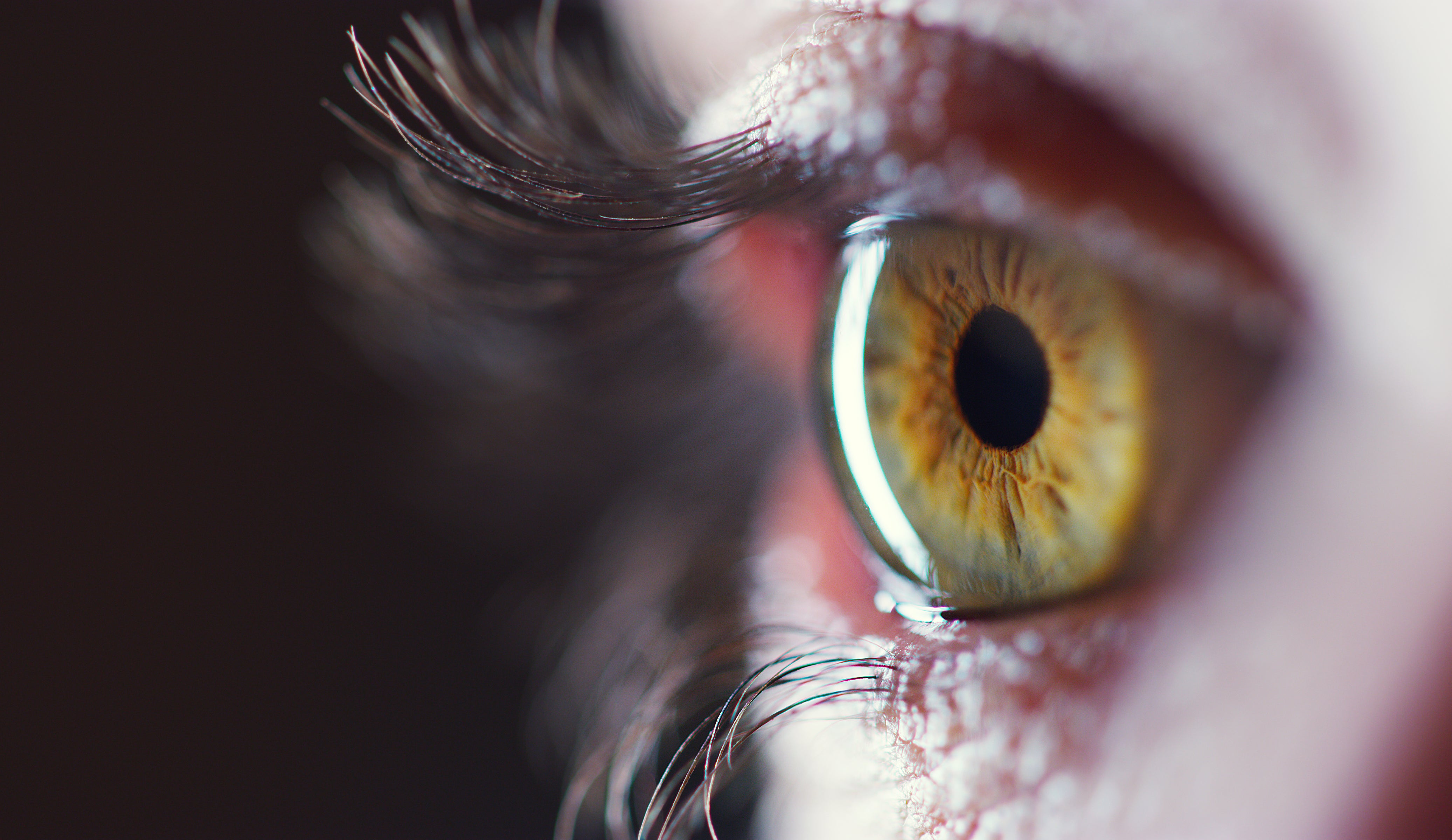 How do our eyes adapt to light and dark?