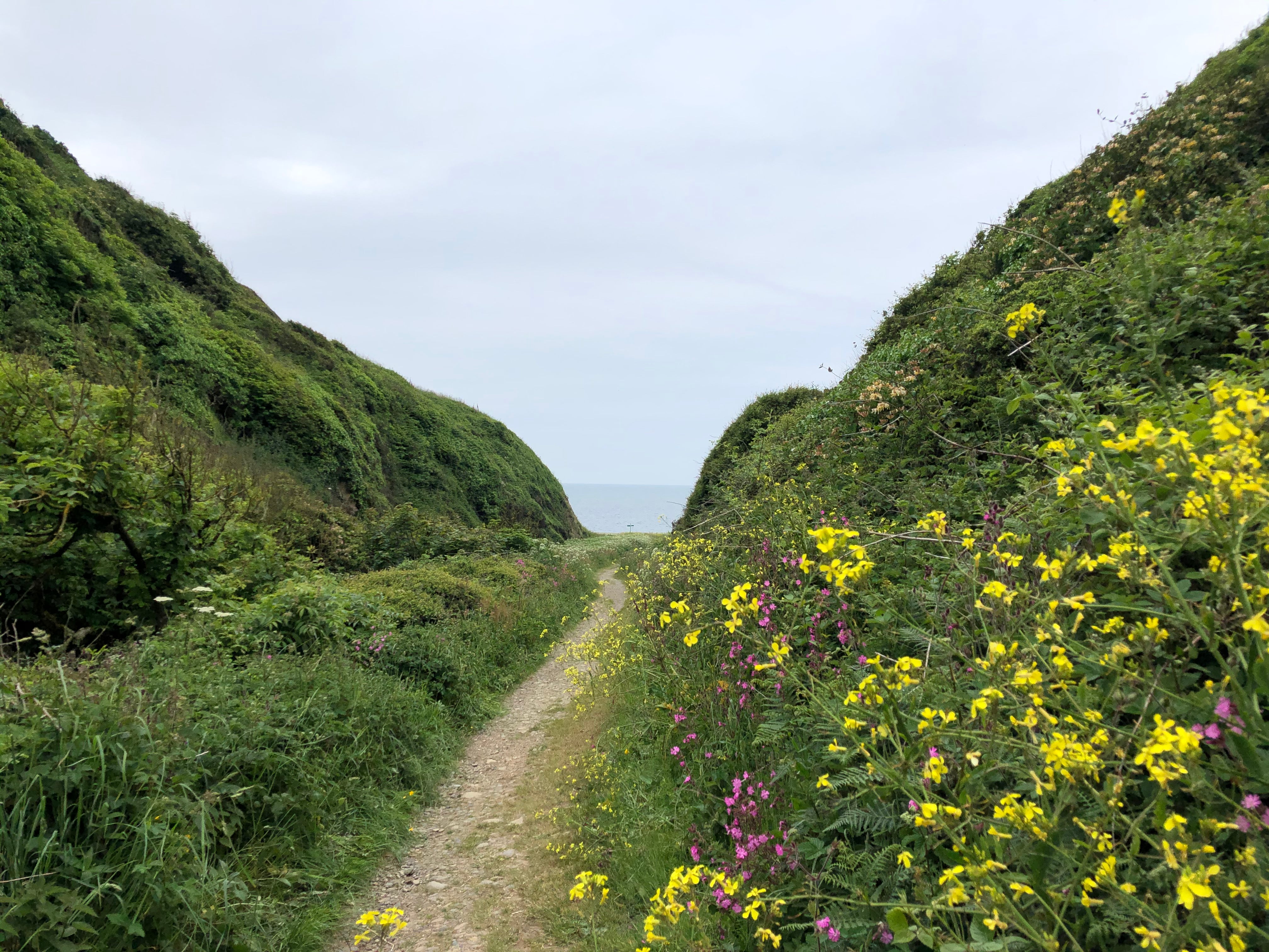 The path to St Ninian’s Cave