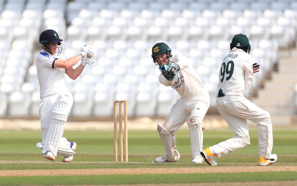 Harry Brook and Matthew Fisher inspire Yorkshire to crushing win over Somerset
