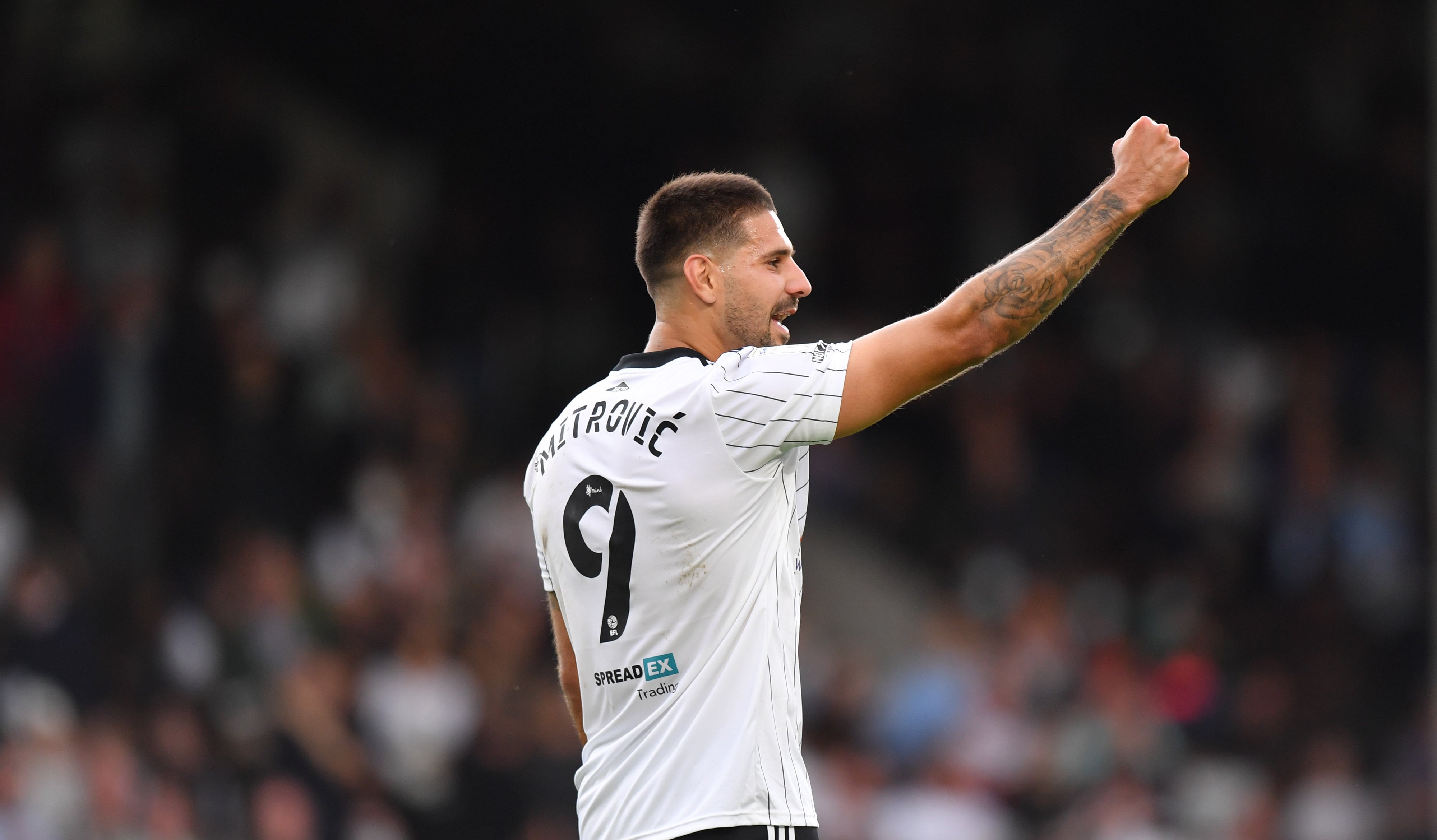 Aleksandar Mitrovic in action for Fulham (Ashley Western/PA)