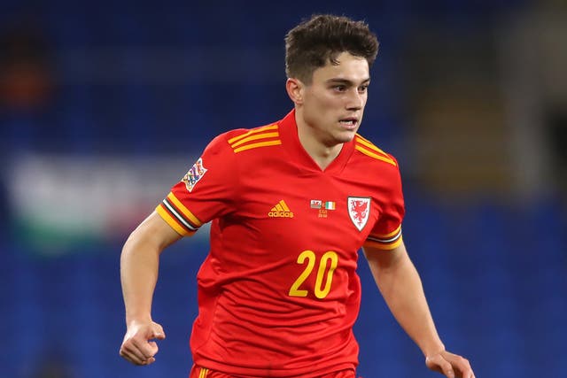<p>Daniel James has World Cup qualification in his sights (Nick Potts/PA)</p>