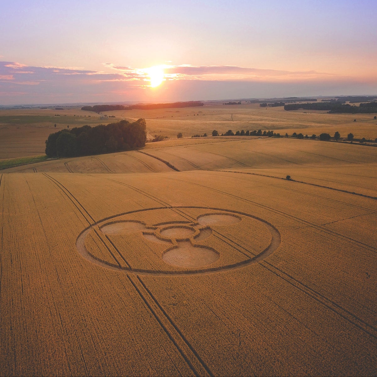 Crop circles: Cynical hoax, natural phenomenon or proof of alien life? |  The Independent
