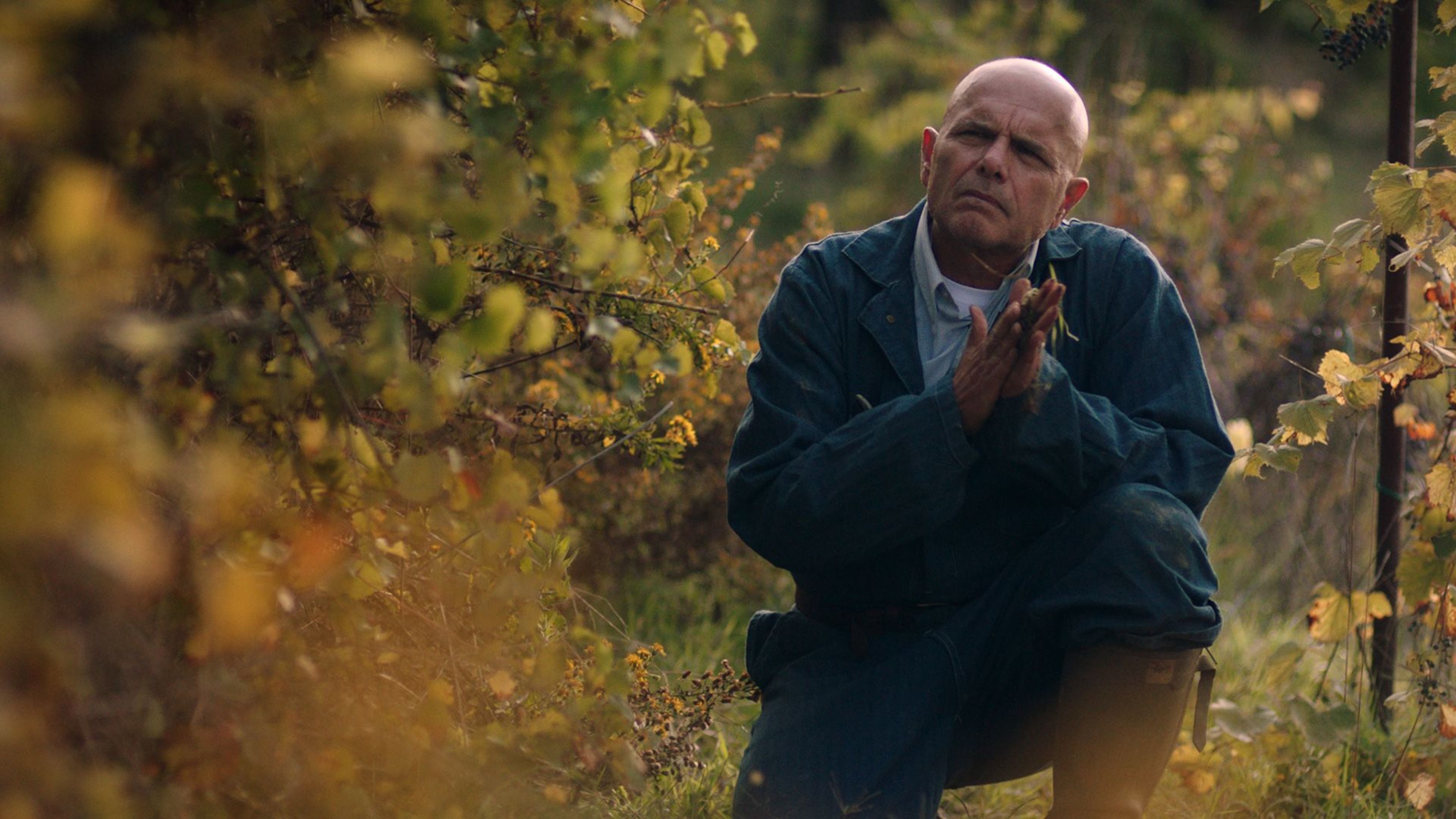 Director Sean Cisterno’s latest film, ‘From the Vine’, is a lovely, gently magical-realist movie