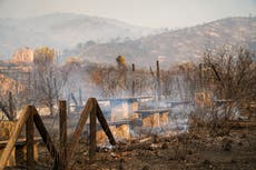 600 people evacuated in wildfire near town in Costa Del Sol 