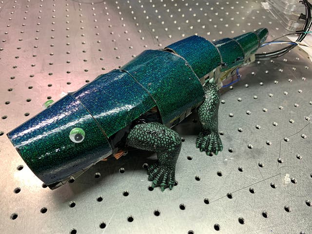 <p>Chameleon robot covered with artificial skin that can change its colour based on surroundings</p>