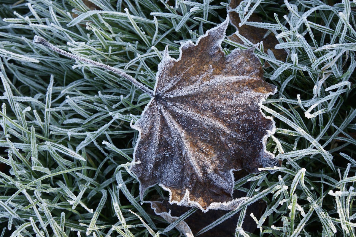 I&rsquo;m worried about the direction the assisted dying debate is heading in