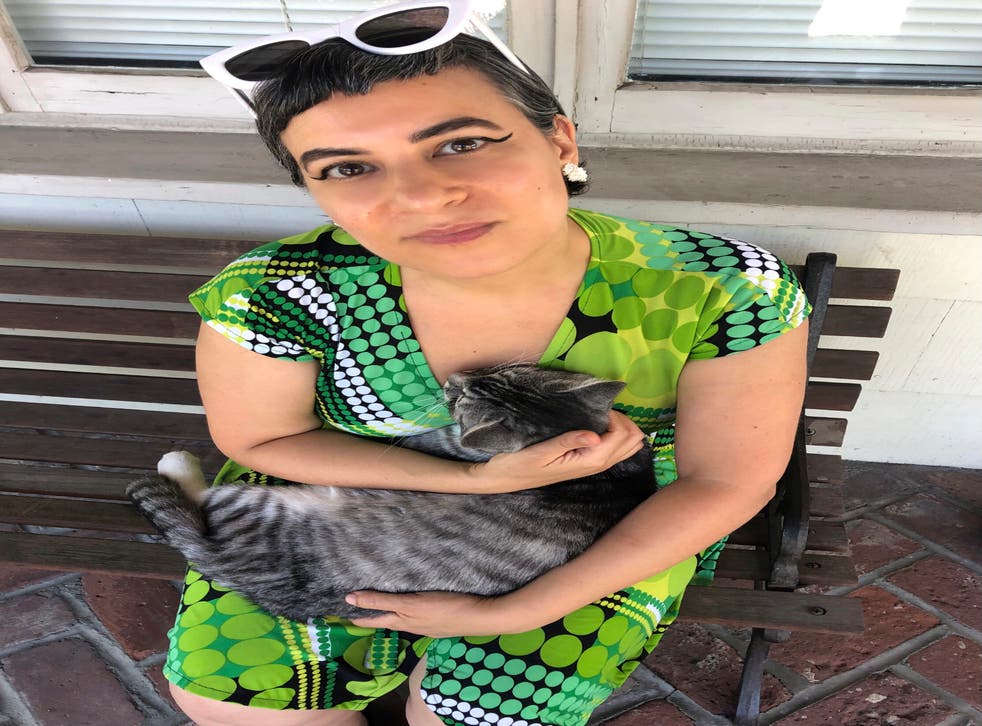 PANDEMIA EL GATO DEL VECINO