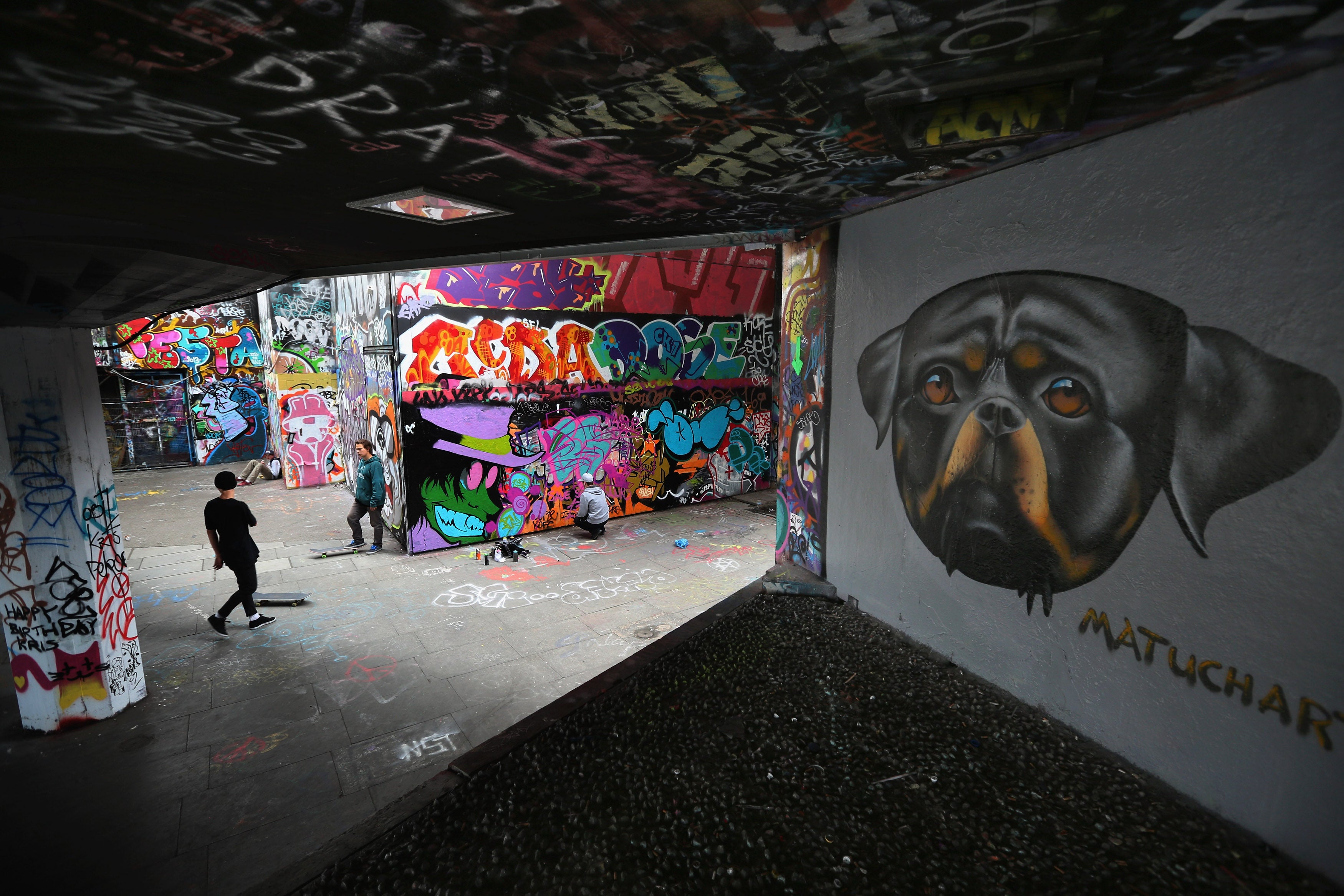 The skatepark is nestled in the middle of it all, beneath the Purcell Room