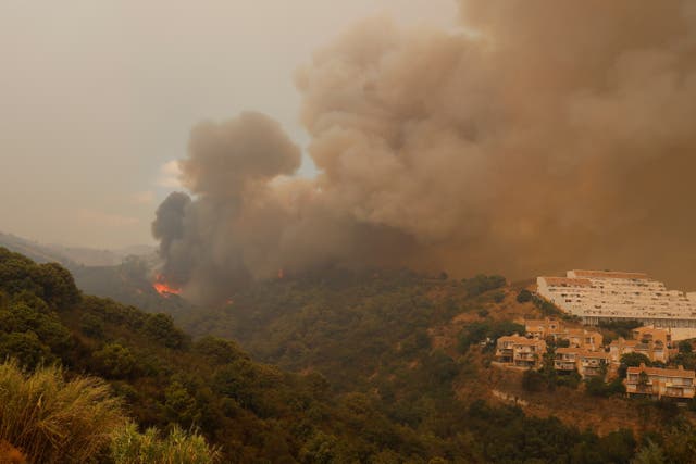 <p>Smoke billows from a wildfire burning on Sierra Bermeja mountain in Estepona, Spain</p>