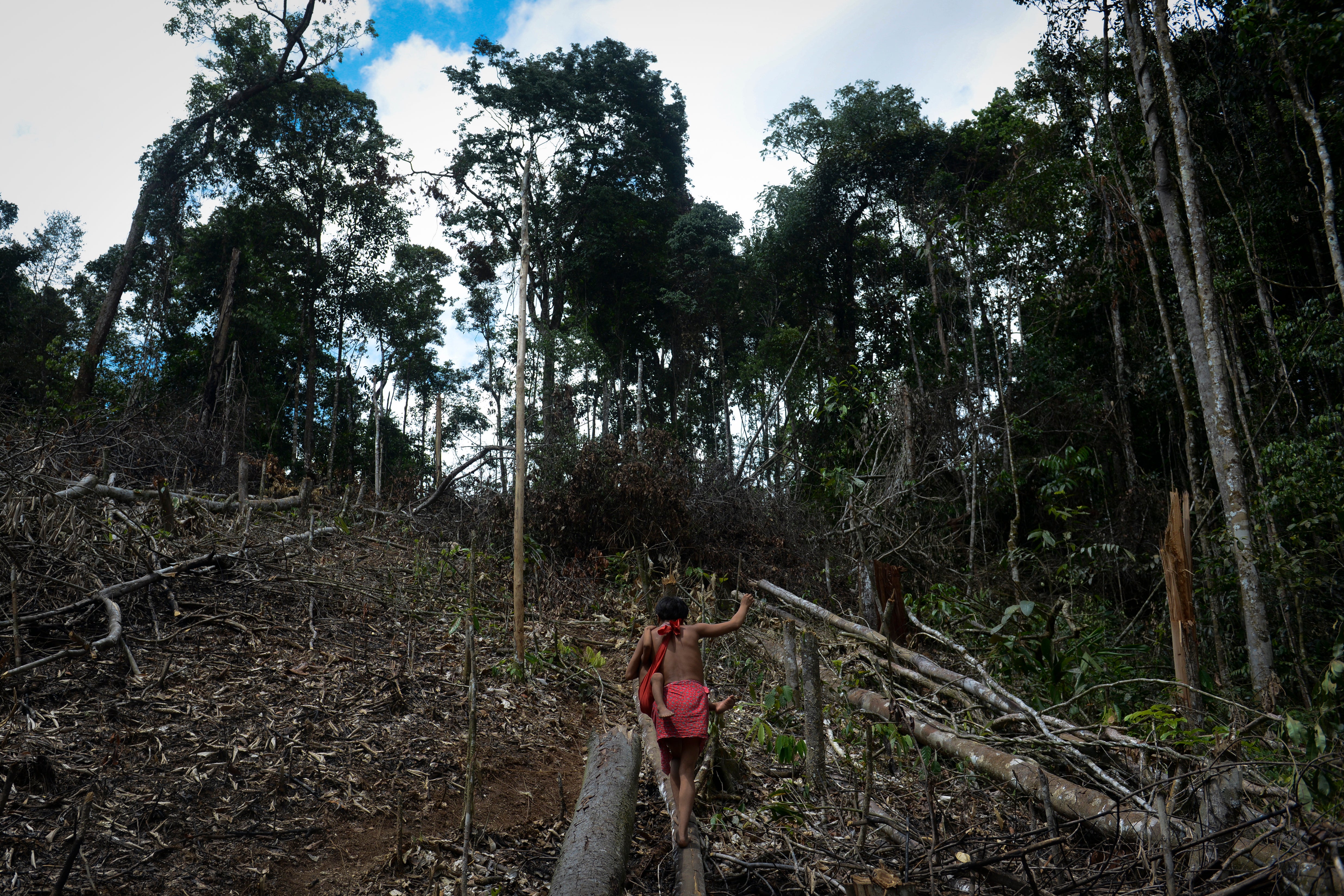<p>A record number of environmental and land defenders were murdered last year</p>