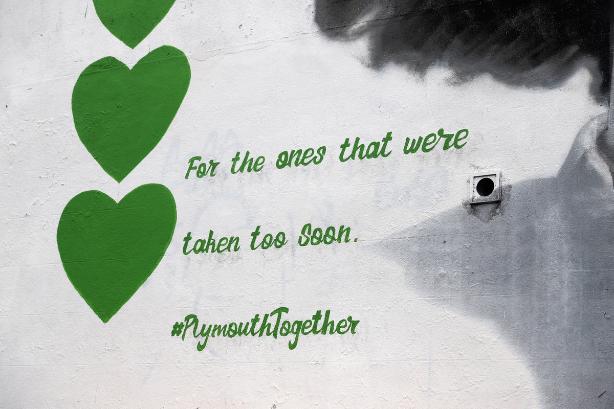 Plymouth mass shooting: National police survey could pave way for gun reform