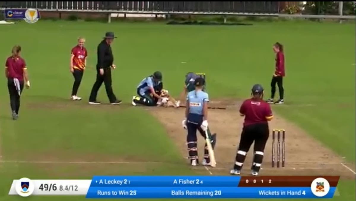 Dog brings cricket match to a halt by playing fetch with ball Dog brings cricket match to a halt by playing fetch with ball