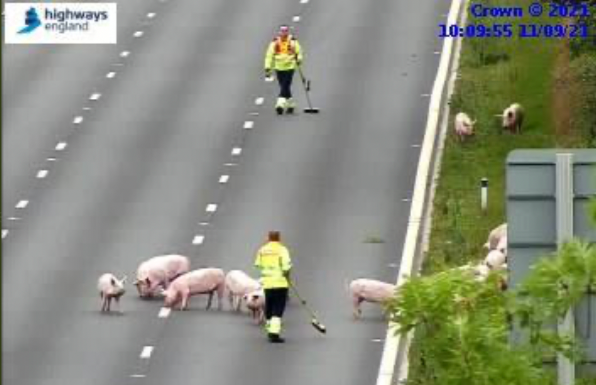 CCTV images show highway traffic officers – armed with brooms – attending the scene on the motorway